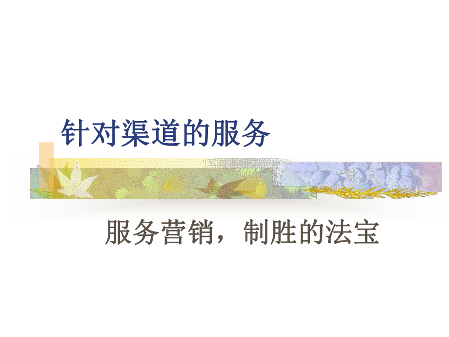 针对渠道的服务课件.ppt_第1页