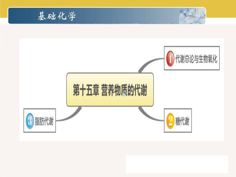 第十五章三大营养物质代谢课件.ppt_第1页