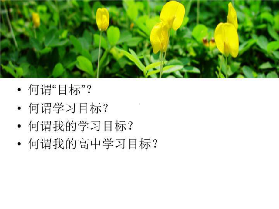 班会-扬帆起航课件.ppt_第3页