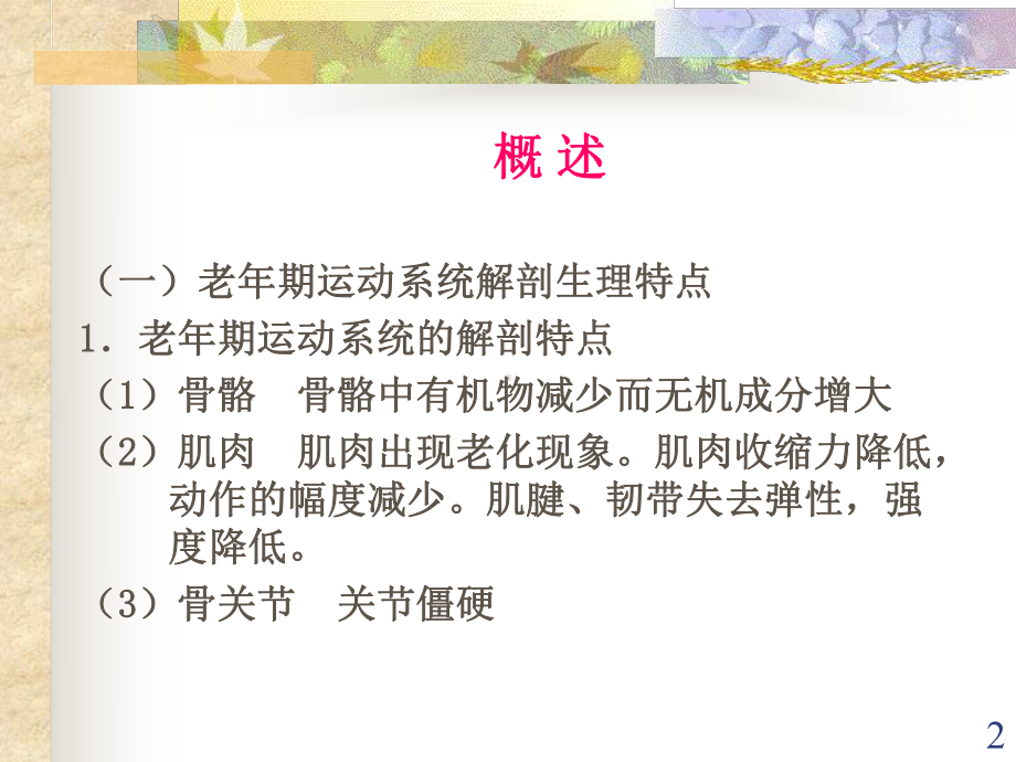 老年期常见运动系统疾病病人护理课件.ppt_第2页