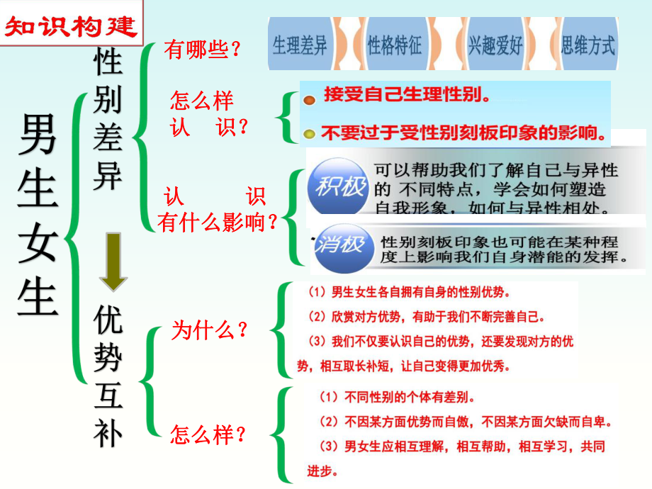 青春的心弦课件.ppt_第3页