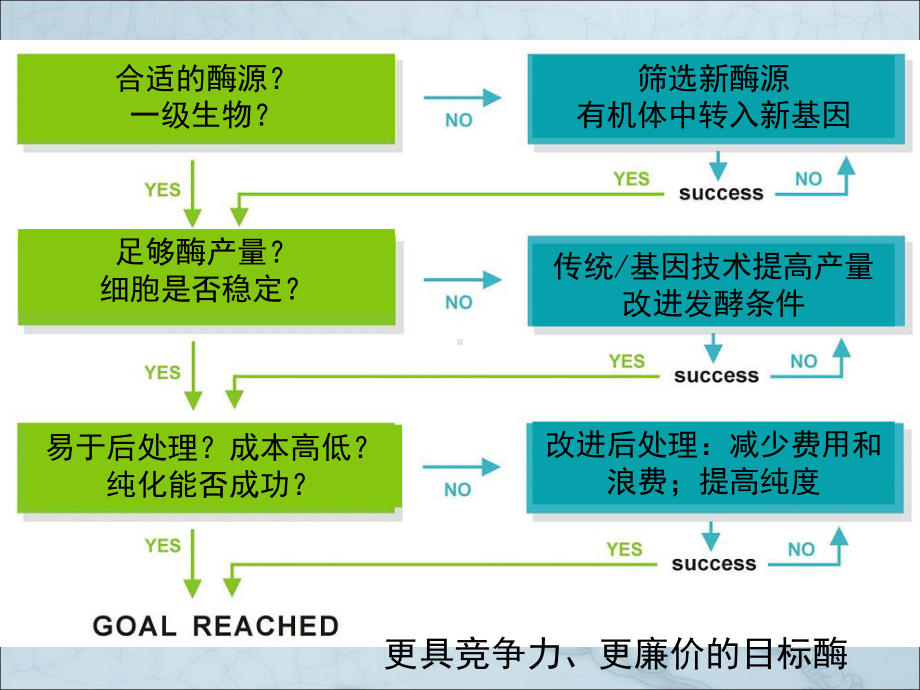 酶工程酶的生产和纯化课件.pptx_第3页