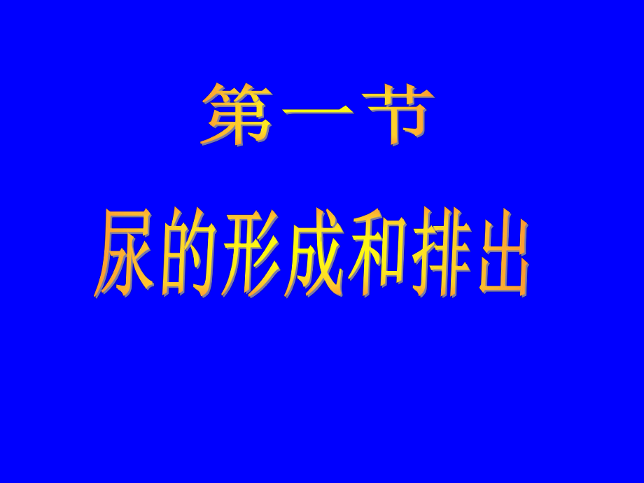 第一节尿的形成与排出课件.ppt_第1页