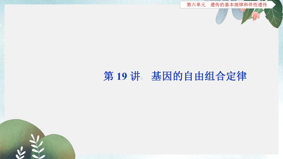 高考生物总复习第六单元遗传的基本规律和伴性遗传第19讲基因的自由组合定律课件新人教版.ppt_第1页