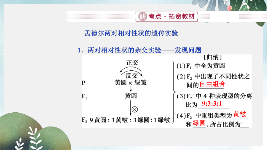 高考生物总复习第六单元遗传的基本规律和伴性遗传第19讲基因的自由组合定律课件新人教版.ppt_第3页