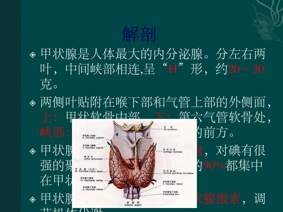 甲状腺肿瘤课件.ppt_第2页