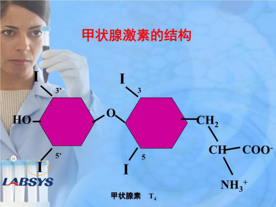 甲状腺疾病的分类与检查-课件.ppt_第2页