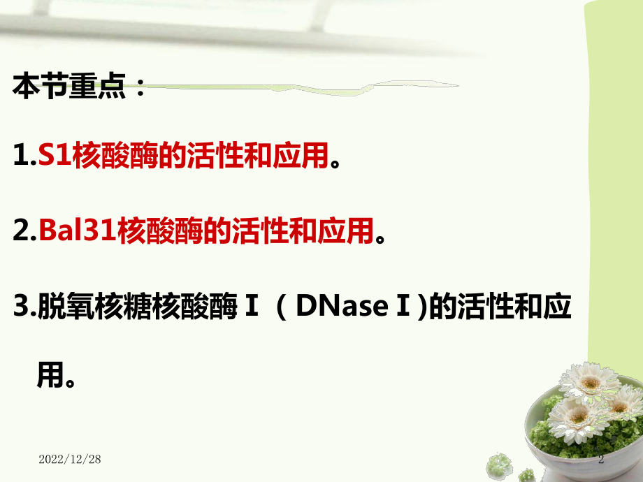 第六节单链内切核酸酶课件.ppt_第2页