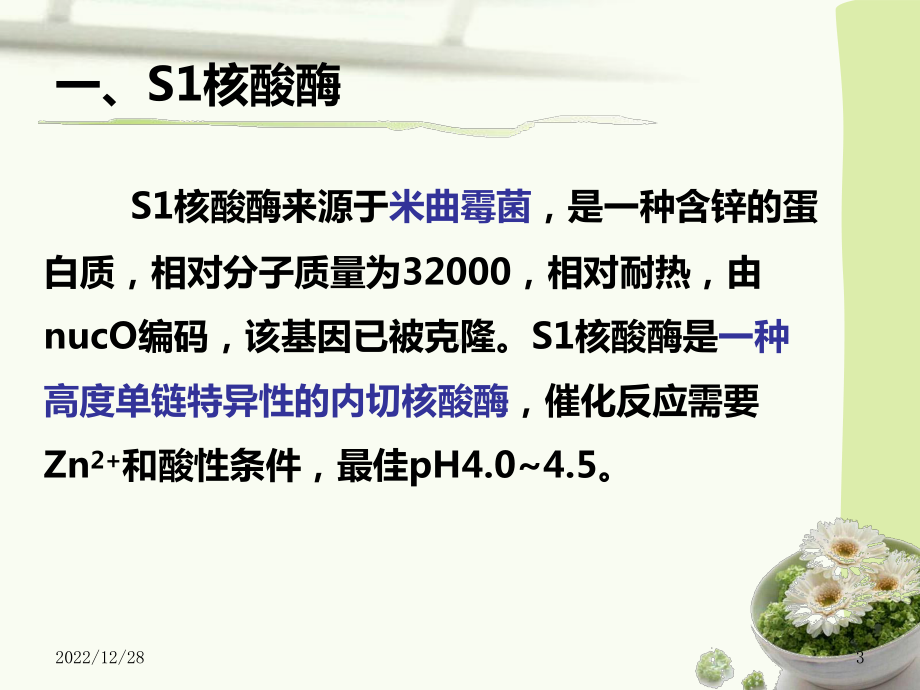 第六节单链内切核酸酶课件.ppt_第3页