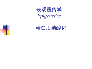 生化表观遗传学总结课件.ppt