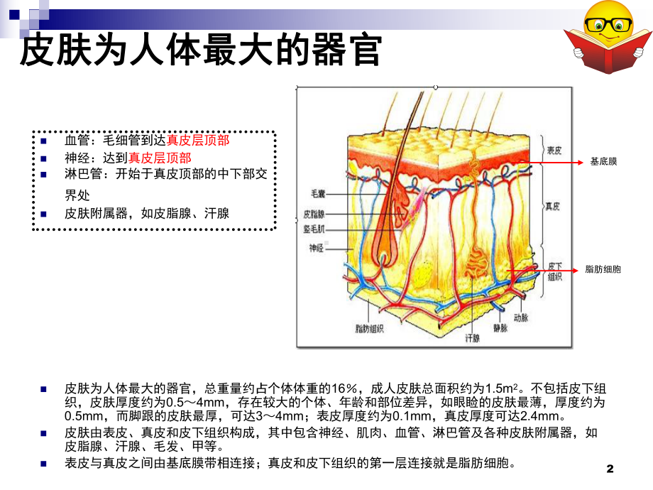 皮肤基础学知识课件.ppt_第2页