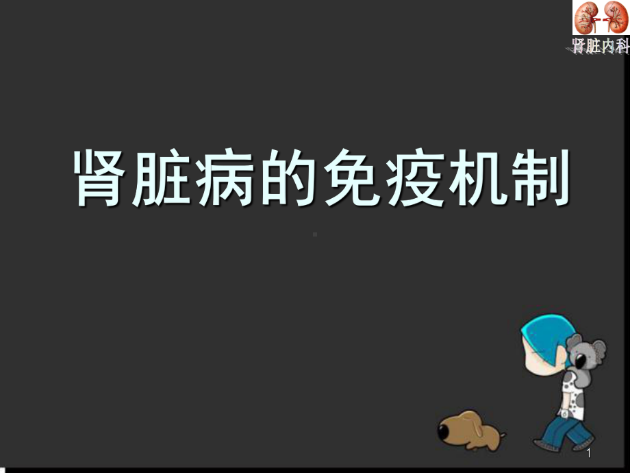 肾脏病的免疫机制医学课件.ppt_第1页