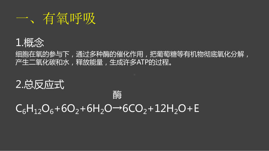 生物高考专题知识点复习及试题讲练：细胞呼吸课件.ppt_第2页