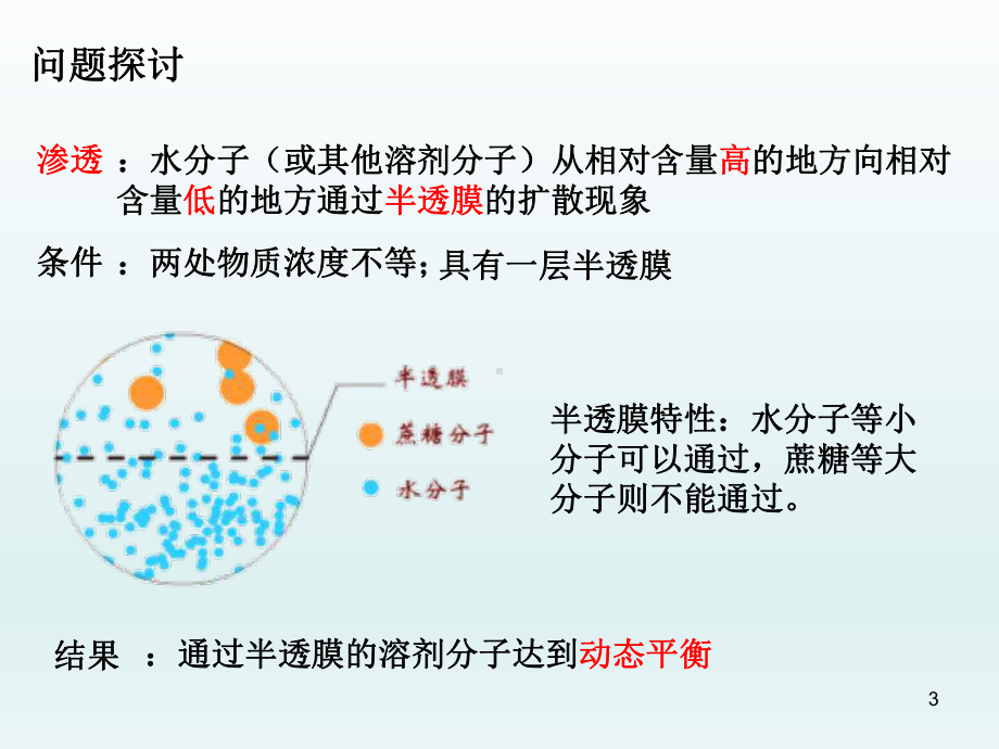 物质跨膜运输的实例教学课件.ppt_第3页