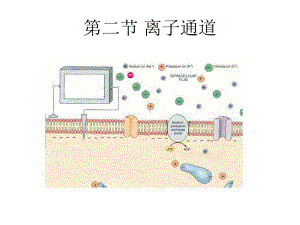 第二节-离子通道课件.ppt