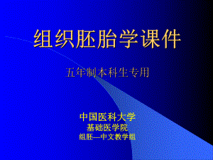 组织学与胚胎学课件-泌尿系统.ppt