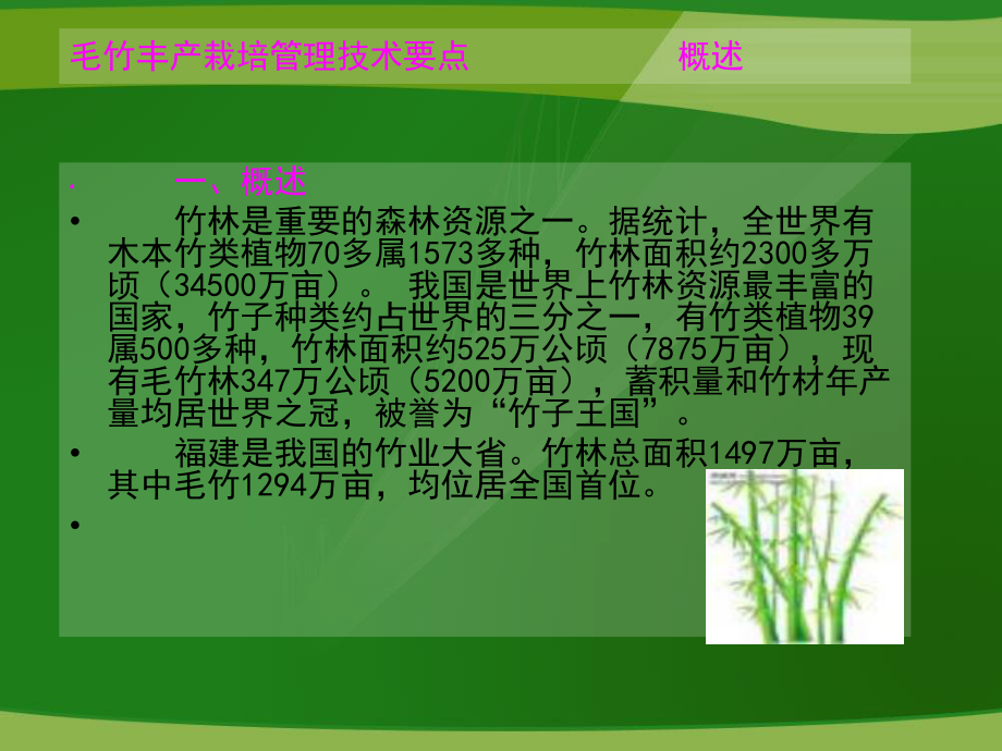 毛竹丰产栽培管理技术要点课件.ppt_第2页