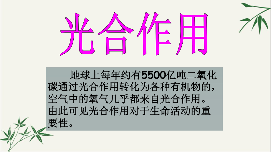 浙教版八级科学下光合作用教学课件.pptx_第1页