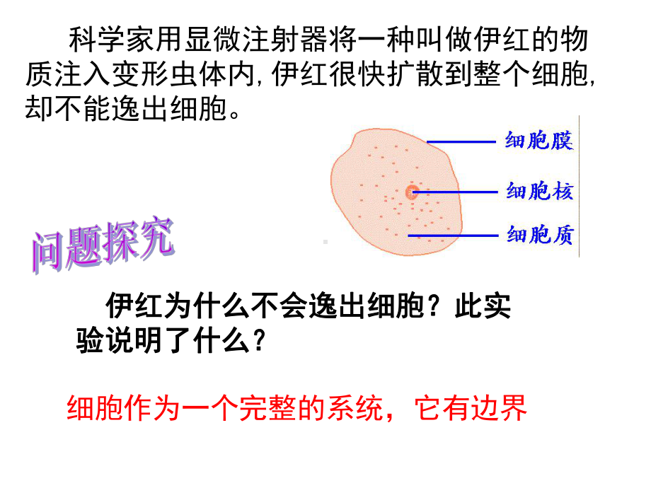 细胞膜公开课版本课件.ppt_第1页