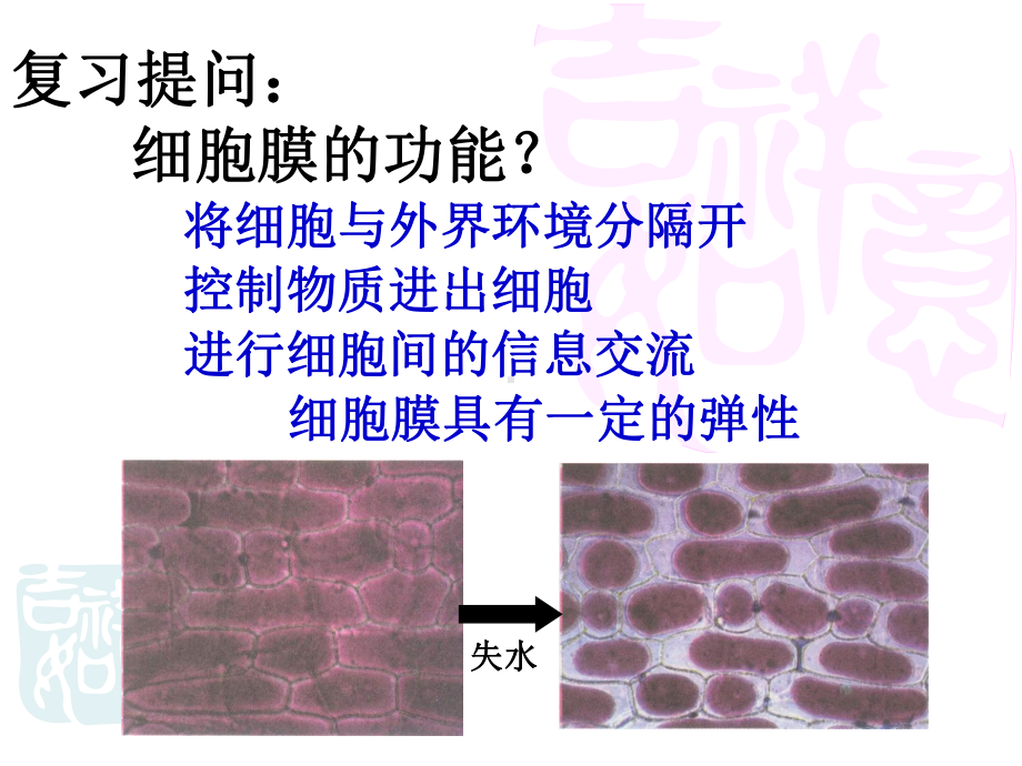 生物膜的流动镶嵌模型精讲课件.ppt_第2页