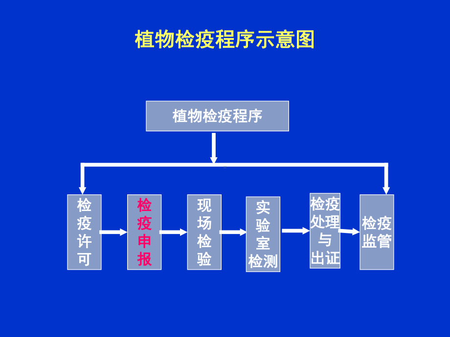 植物检疫程序课件.ppt_第2页