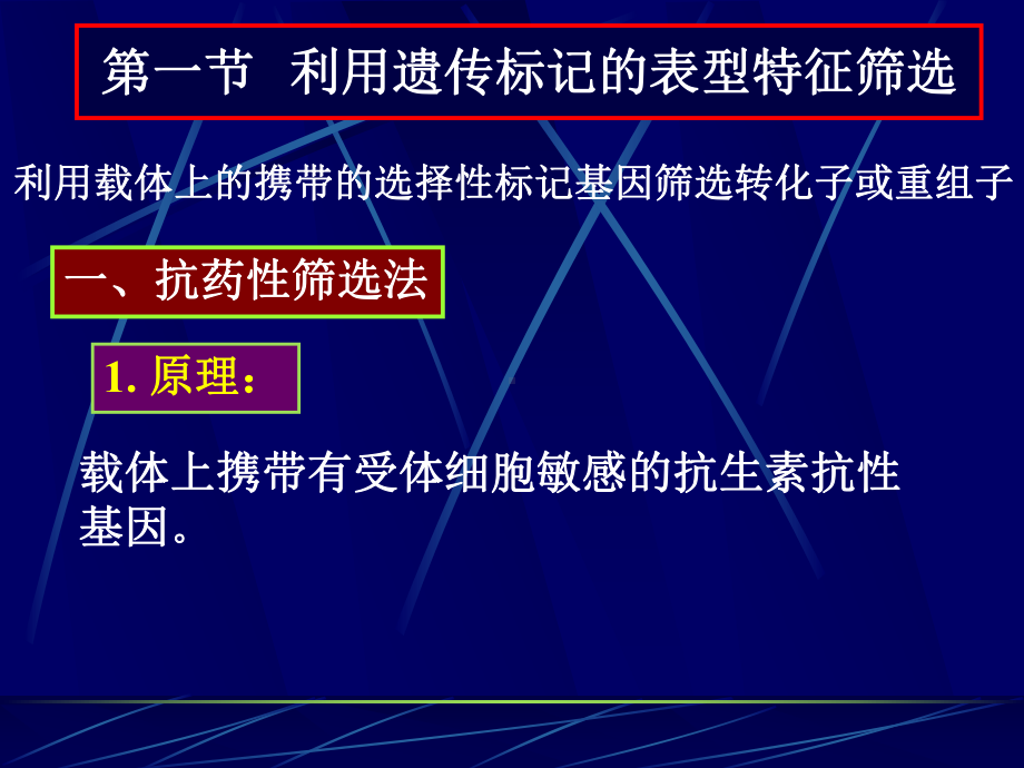 第七章重组体克隆的筛选和鉴定总结课件.ppt_第2页