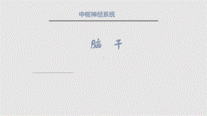 细说脑干课件.pptx