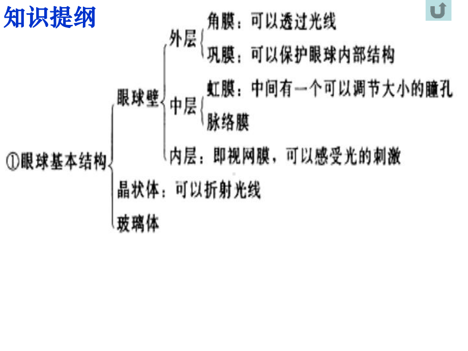 知识提纲汇总课件.ppt_第2页