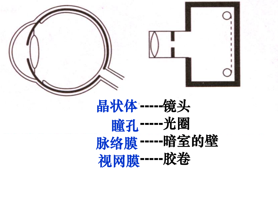 知识提纲汇总课件.ppt_第3页