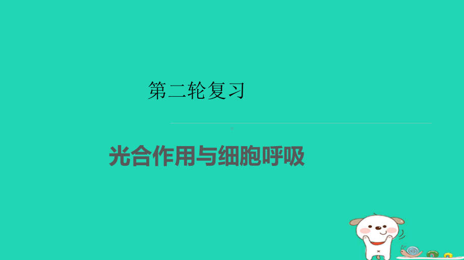 高考生物二轮复习专题光合作用与细胞呼吸课件.ppt_第1页