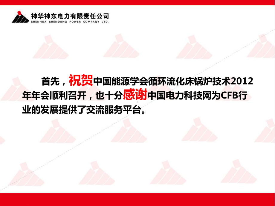 电力公司CFB机组发展实践和对CFB发电产业的几点思考课件.ppt_第3页