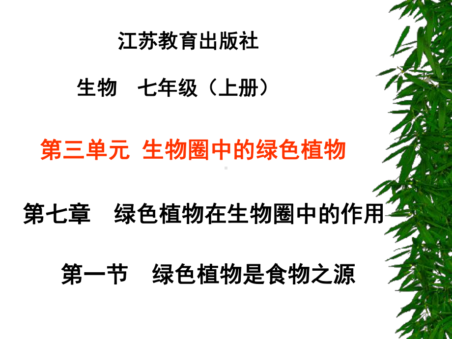 绿色植物是食物之源课件.ppt_第2页