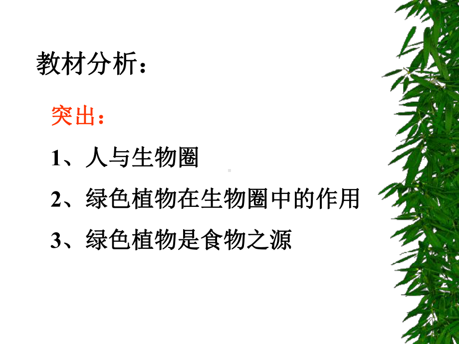 绿色植物是食物之源课件.ppt_第3页