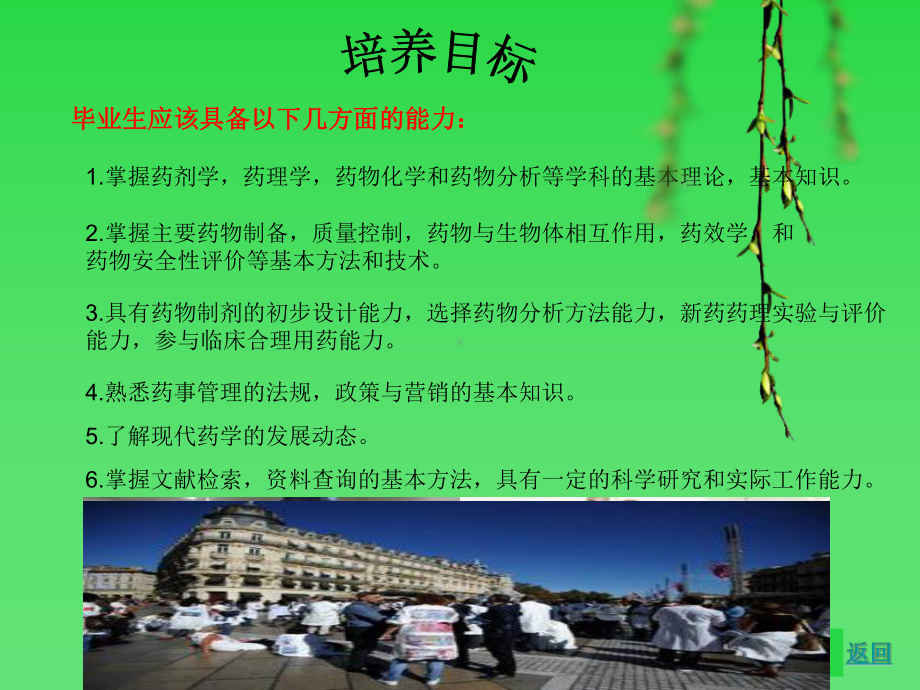 药学专业课件实例课件.ppt_第3页