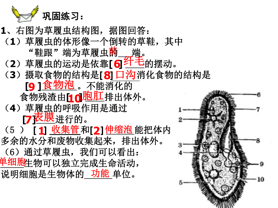 没有细胞结构的生物-病毒课件.ppt_第3页