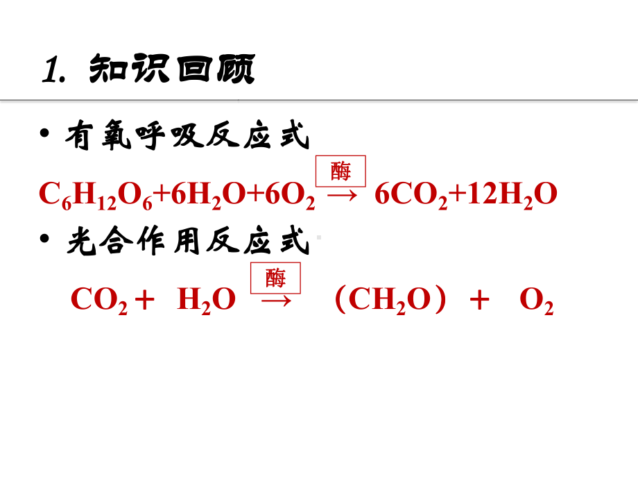 能量之源-光与光合作用56-人教课标版课件.ppt_第2页