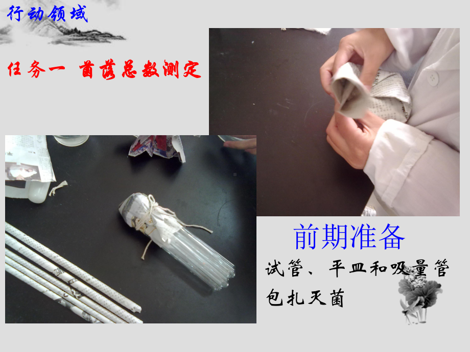 菌落总数测定课件.ppt_第3页