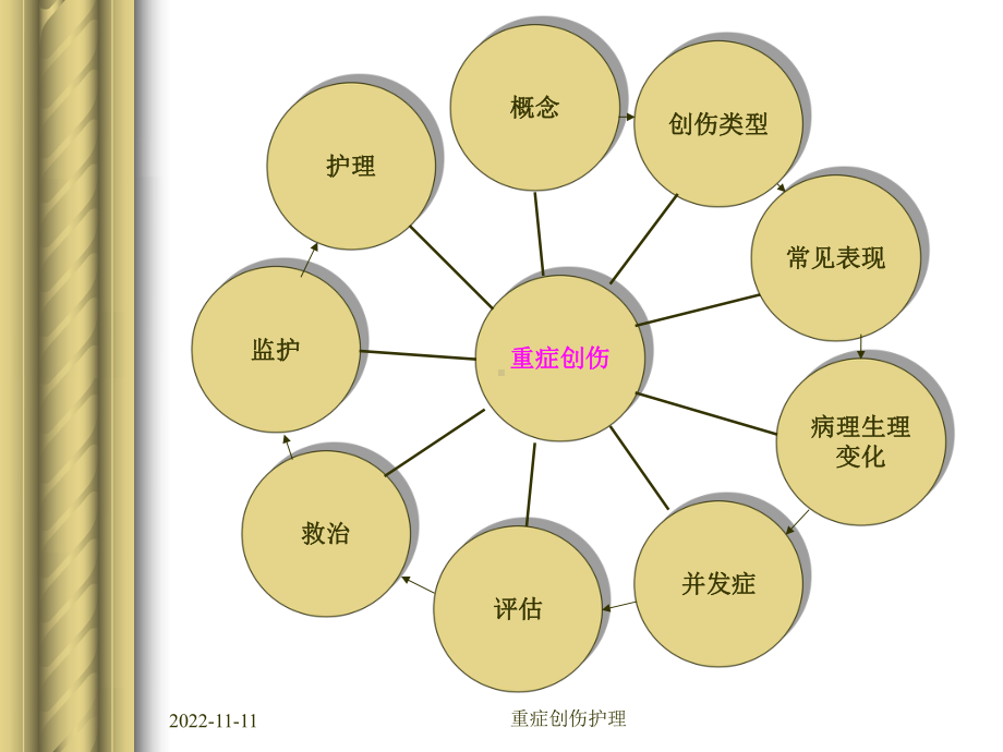 重症创伤护理课件.pptx_第3页