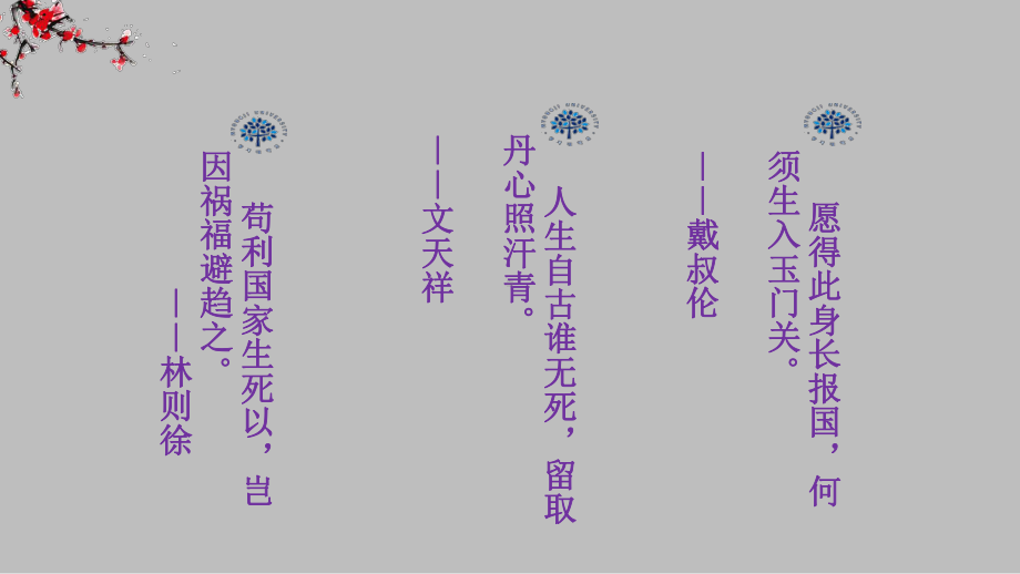 雪落在中国的土地上-课件.ppt_第2页