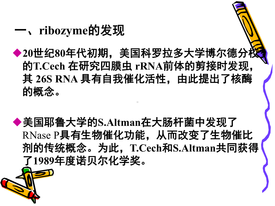 第十二章核酶课件.ppt_第3页