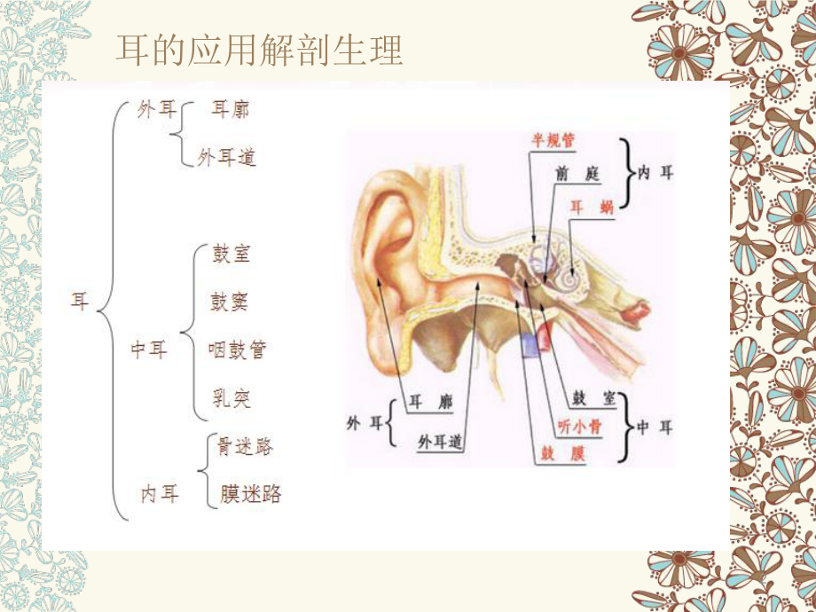 耳部专业知识医学课件.ppt_第2页