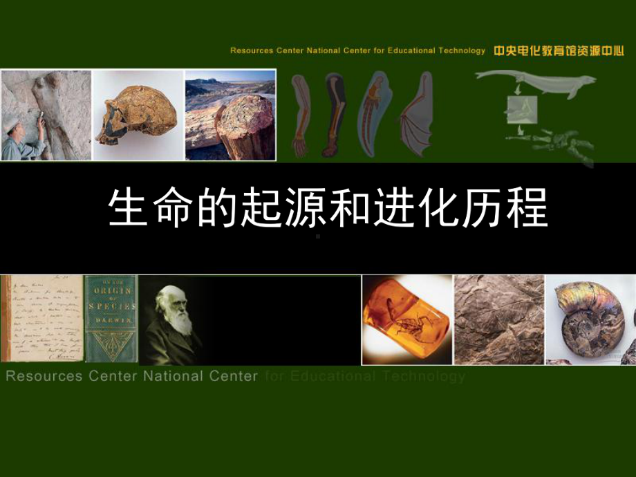 生命的起源与进化历程课件.ppt_第1页