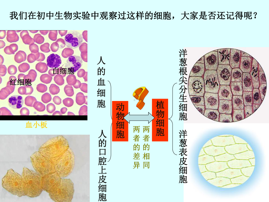 细胞的多样性和统一性(市级公开课)课件.ppt_第1页