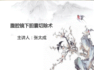 腹腔镜下胆囊切除课件.ppt