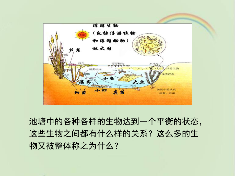 苏教版高中生物必修三《生物群落的构成》课件-新版.ppt_第3页