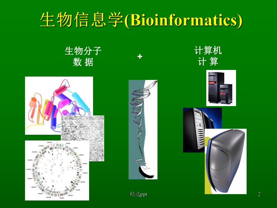 生物信息学的应用课件.ppt_第2页