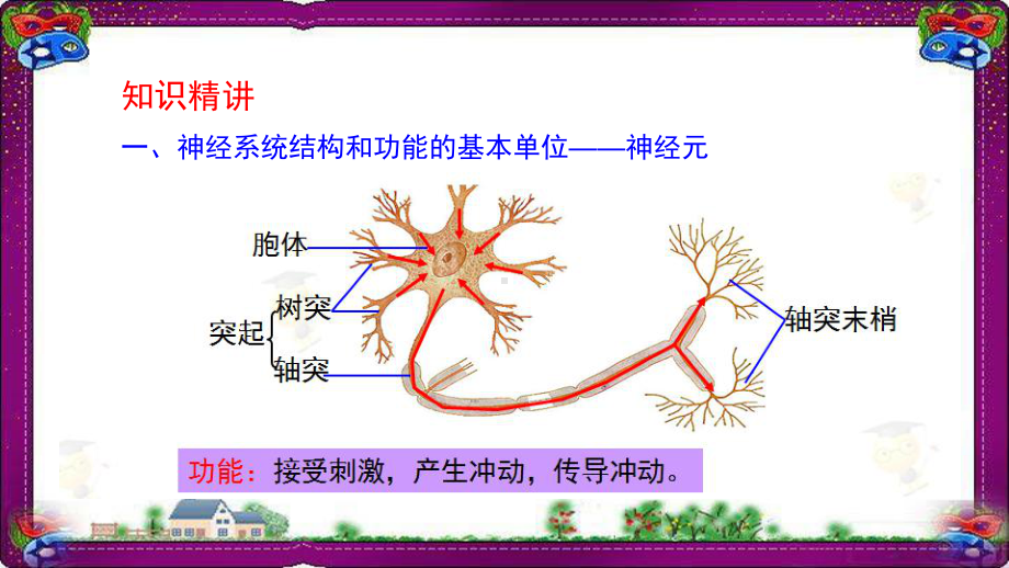 生物圈中的人第5讲：人体的神经调节与激素调节课件-(市优)获奖课件.ppt_第3页