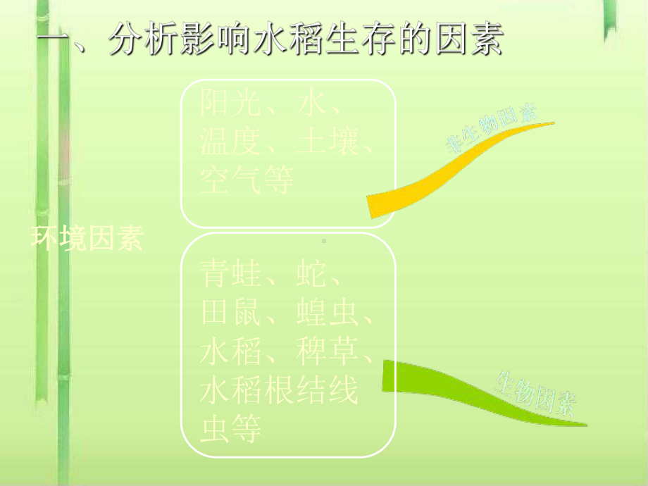 环境影响生物的生存课件2-苏科版.ppt_第3页