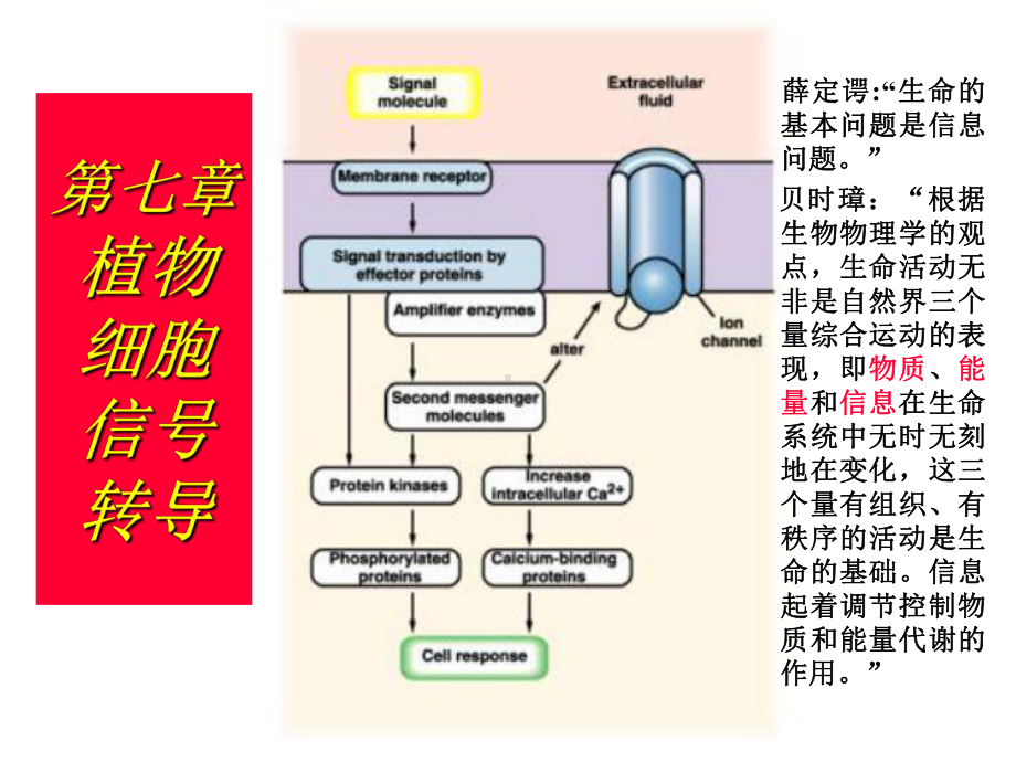 植物的细胞信号转导[1]课件.ppt_第1页