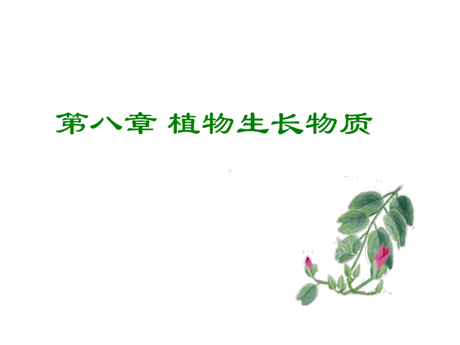 植物的生长物质课件.ppt_第1页